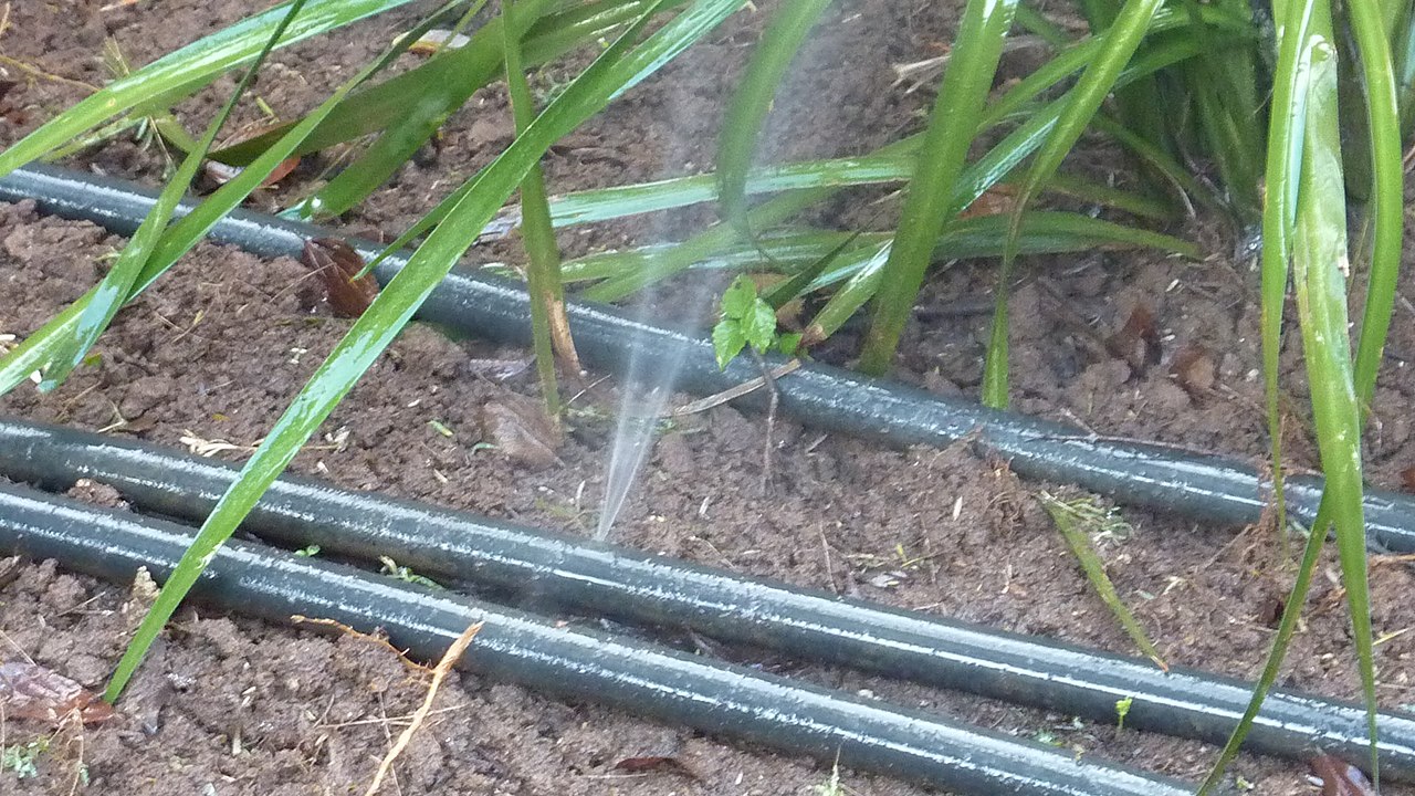 fix-irrigation-leaks-green-change